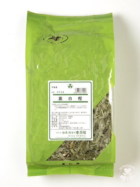 国産】裏白樫（うらじろがし）500g - 本草閣薬局 通販